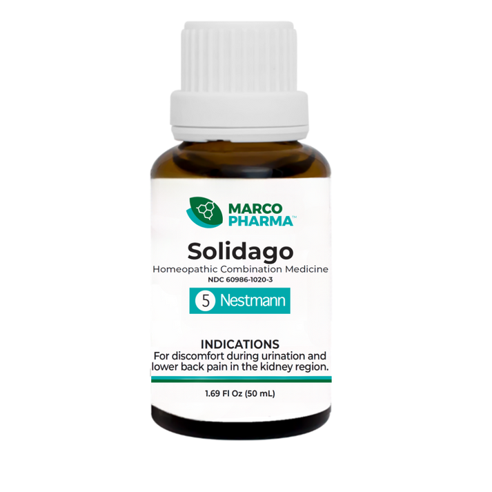 Solidago Small