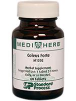 M1202 Coleus Forte