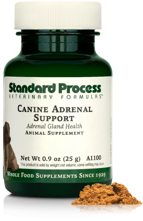 A1100 Canine Adrenal Support 25g