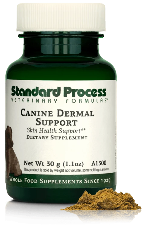 A1300 Canine Dermal Support 30g