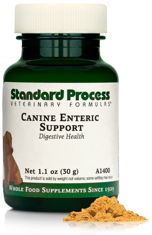 A1400 Canine Enteric Support 30g
