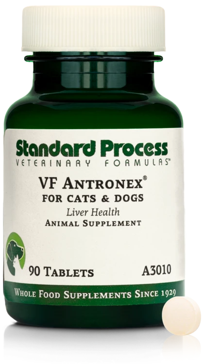 A3010 VF Antronex For Pets 90T
