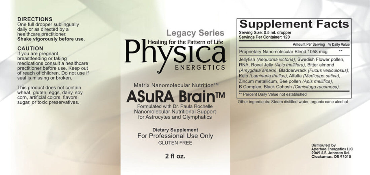 ASuRA Brain
