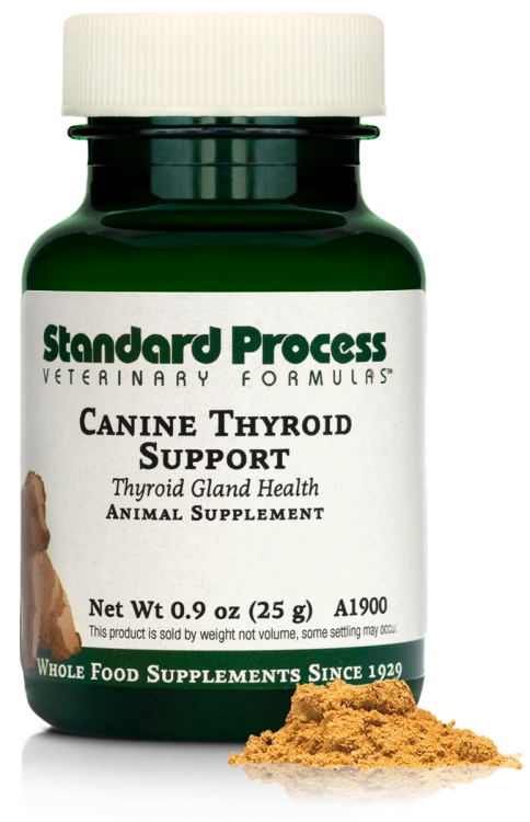A1900 Canine Thyroid Support 25g