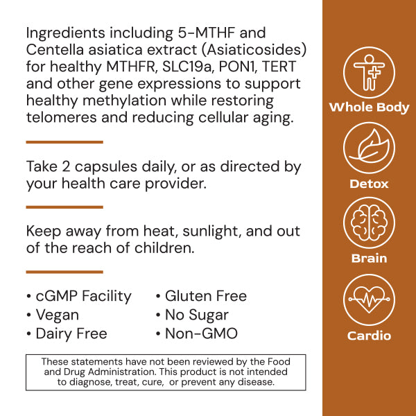 MethylGenic 60C