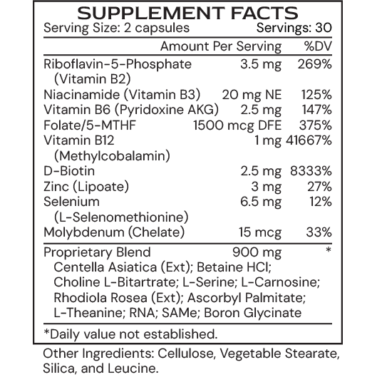 MethylGenic 60C