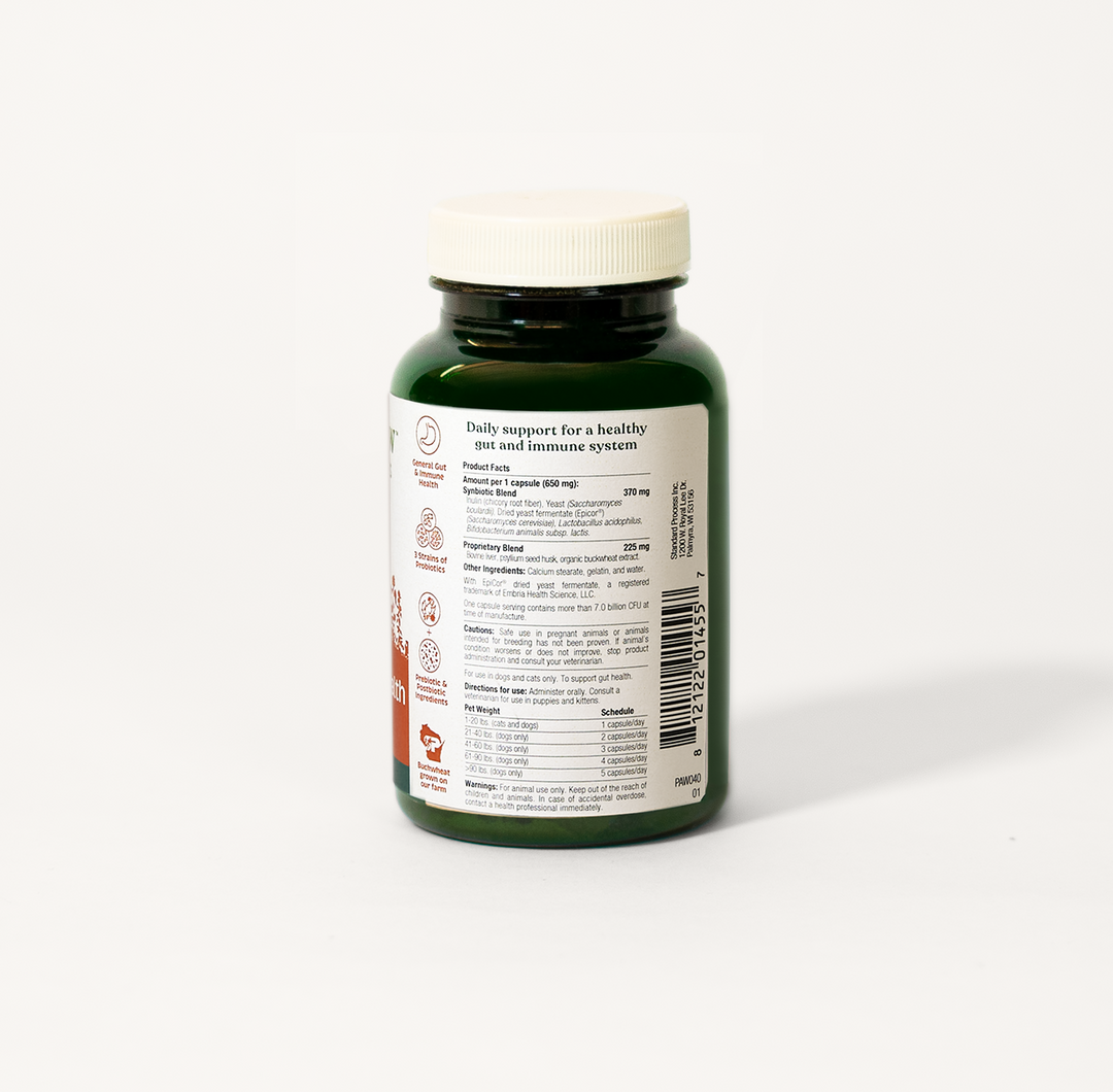 Spirited Paw Probiotic + Gut Health 90C