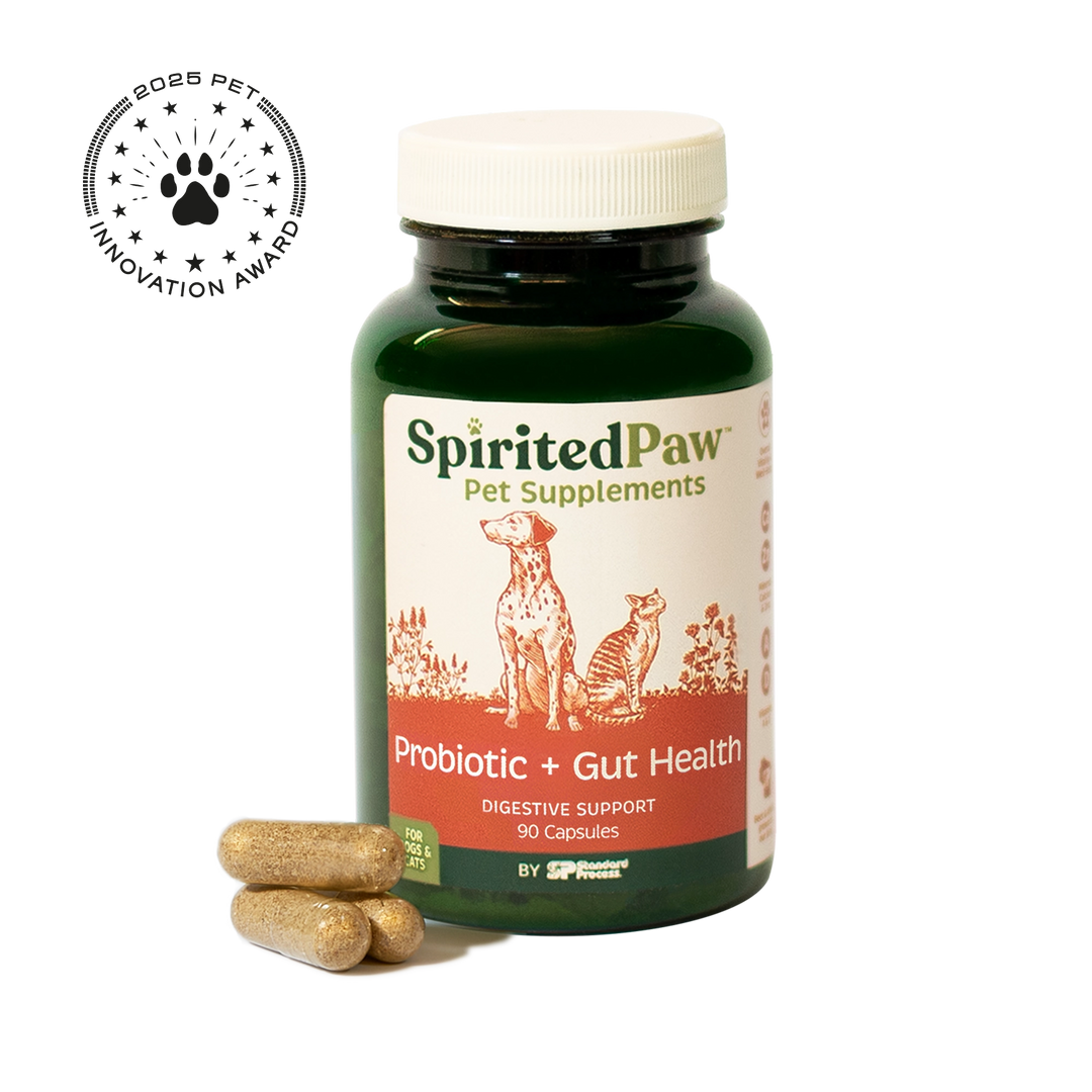 Spirited Paw Probiotic + Gut Health 90C