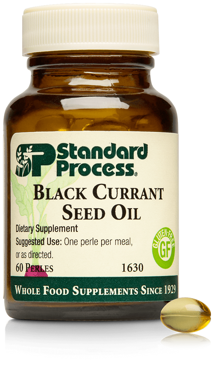 1630 Black Currant Seed Oil 60P
