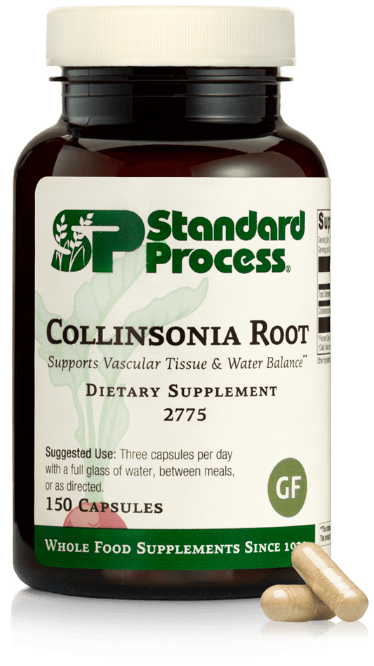2775 Collinsonia Root 150C