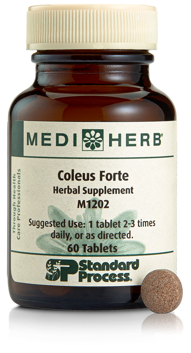 M1202 Coleus Forte