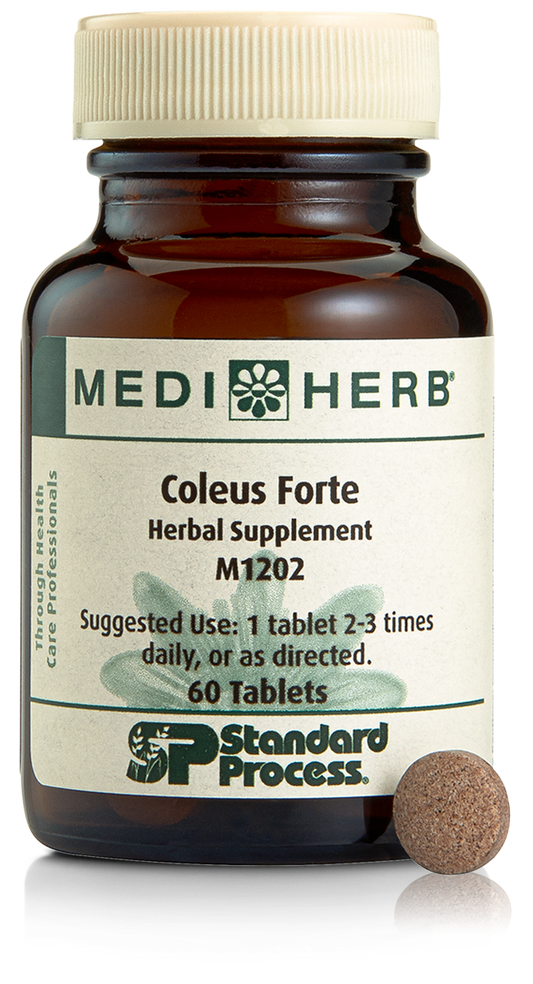 M1202 Coleus Forte
